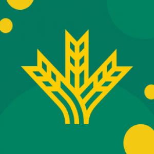 Icono y Logotipo del Grupo Caja Rural Icono y Logotipo del Grupo Caja Rural