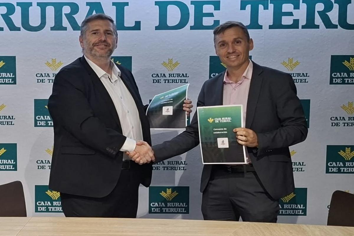 Voleibol