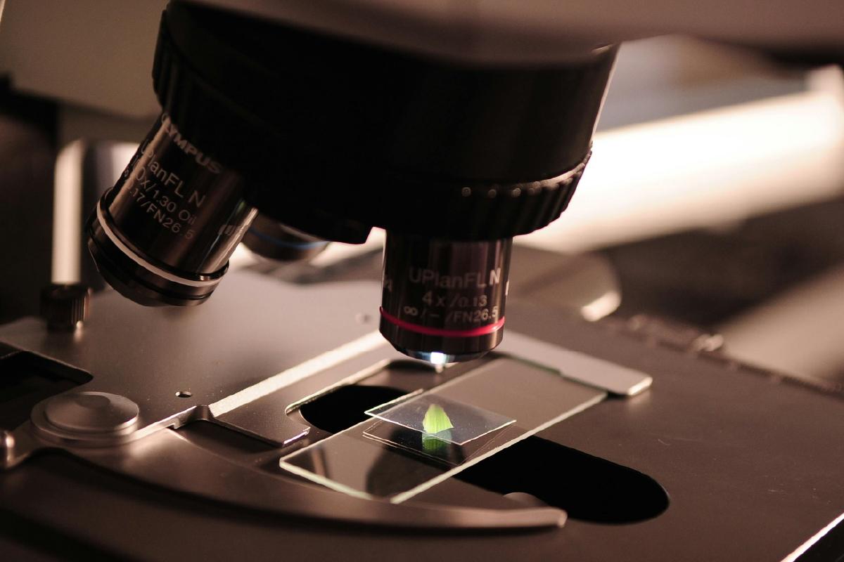 Día de la UNESCO: invertir en educación es invertir en futuro