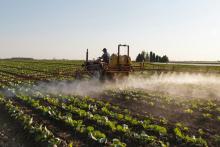 Asegurar el relevo generacional en el campo con formación y oportunidades 
